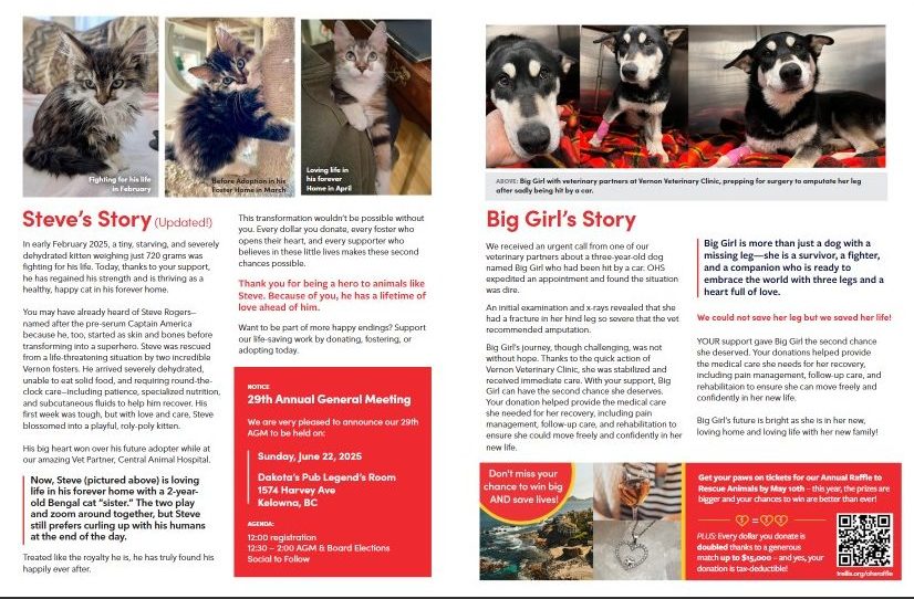 Spring 2025 Thumbnanil