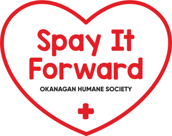 spayitforward-logo